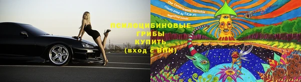 соль ск Алексеевка