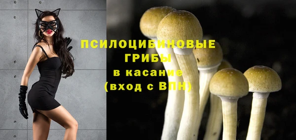 соль ск Алексеевка