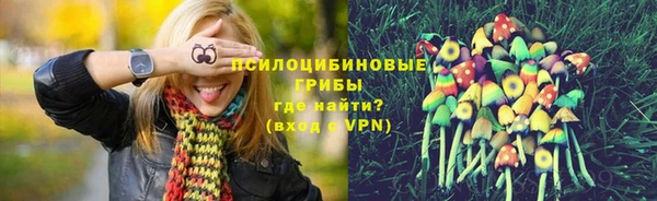 амф Алексин