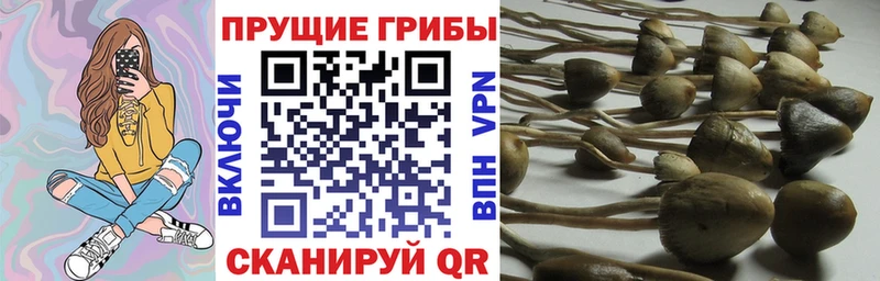 Псилоцибиновые грибы мухоморы  Беломорск 