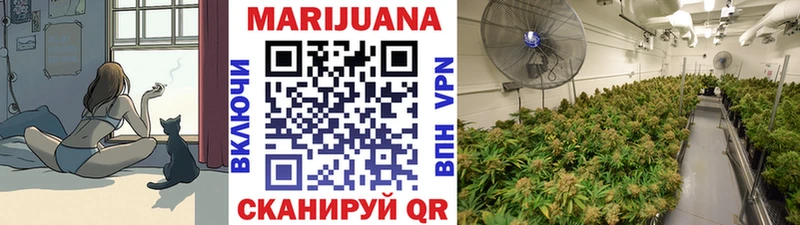 Канабис OG Kush  как найти закладки  Беломорск 